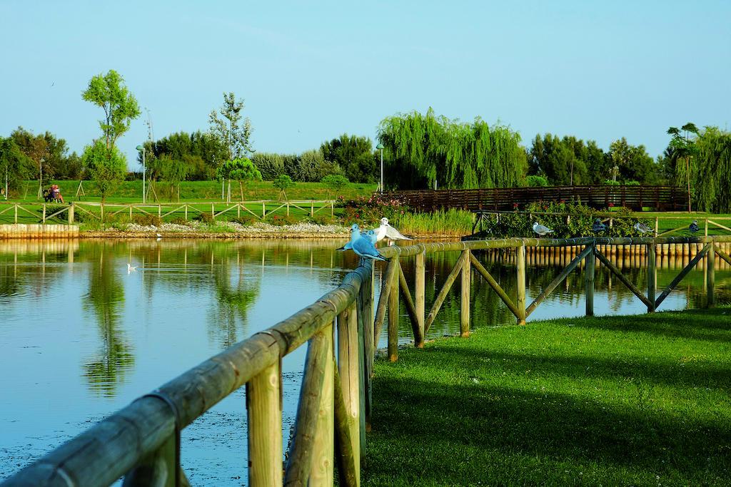 Apartamento Lecci Lido Altanea *